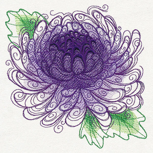 Spring Magic - Chrysanthemum - Image 3