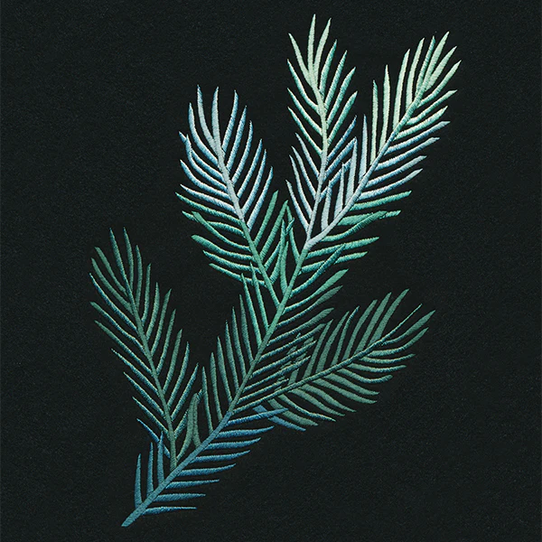 Spruce Things Up Spray