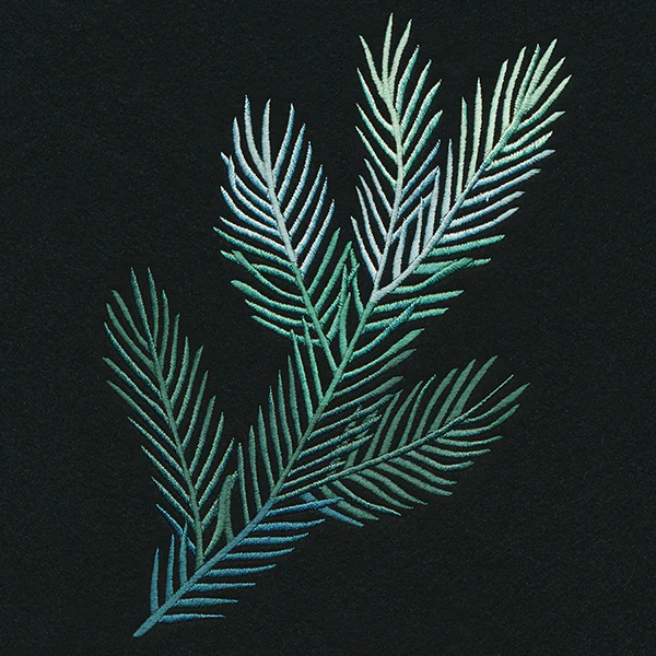 Spruce Things Up Spray - Image 2