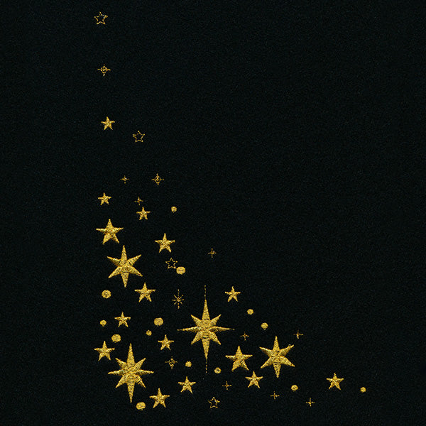 Stars of the Constellation Corner - Image 9