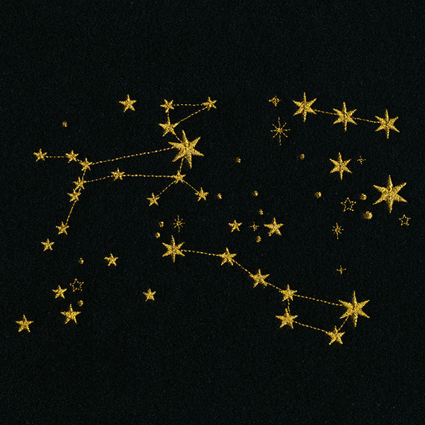 Stars of the Constellation Feature - Image 4