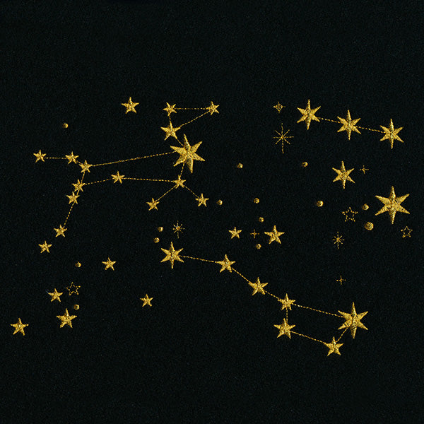 Stars of the Constellation Feature - Image 5