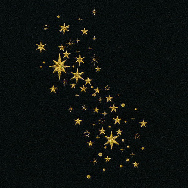 Stars of the Constellation Spray - Image 10
