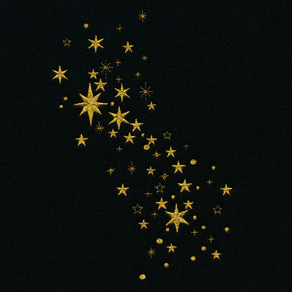 Stars of the Constellation Spray - Image 7