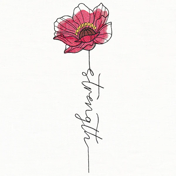 Strength Poppy in Bloom