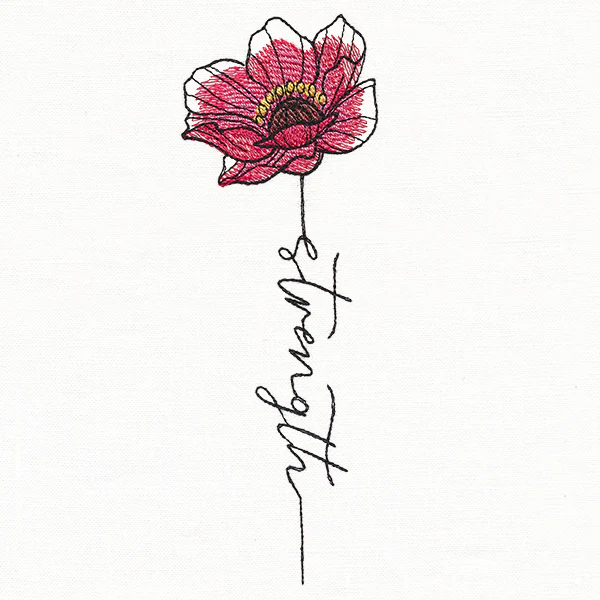 Strength Poppy in Bloom - Image 4