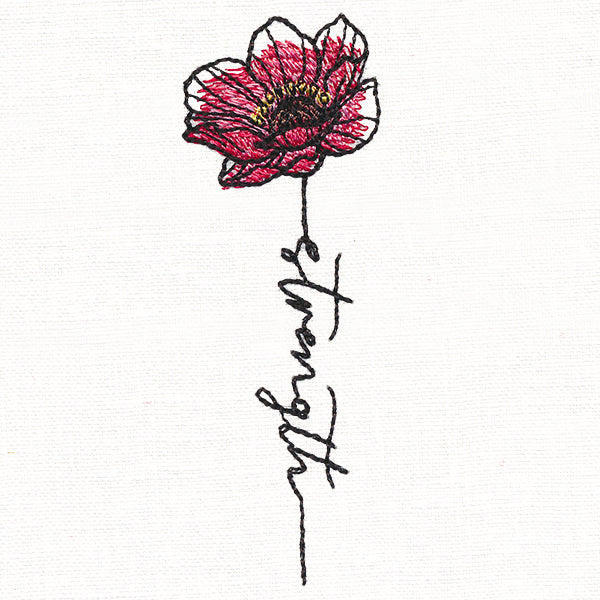 Strength Poppy in Bloom - Image 5