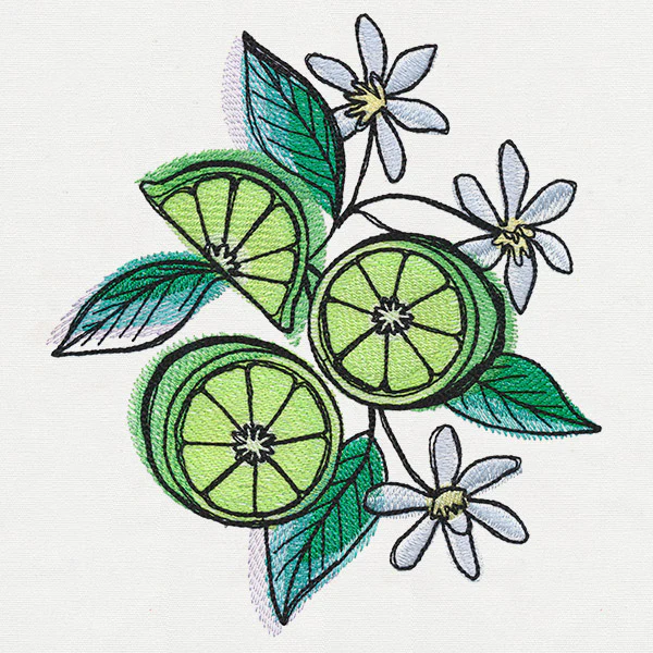 Summer Tastes - Limes