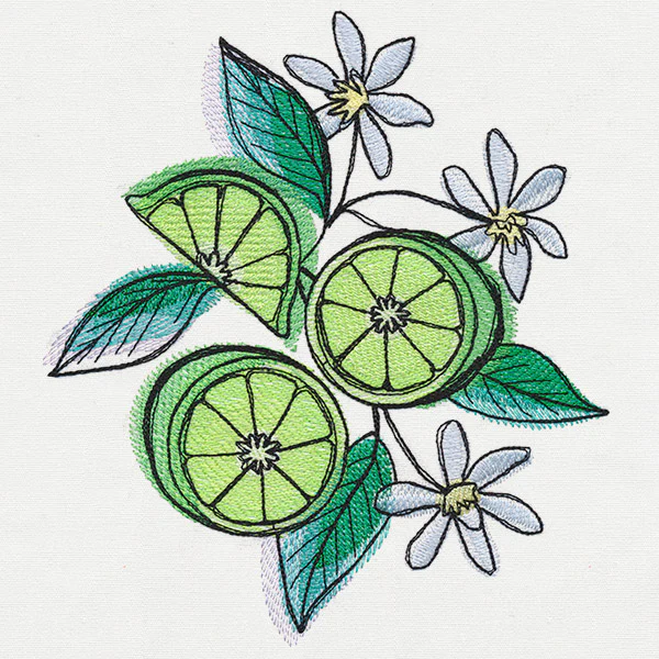 Summer Tastes - Limes - Image 2