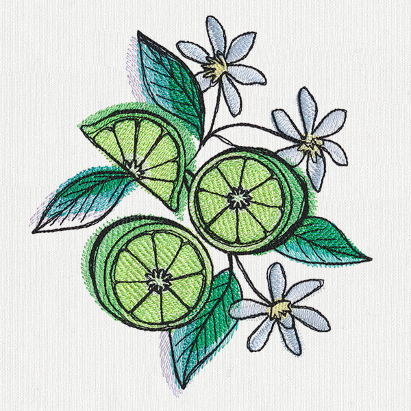 Summer Tastes - Limes - Image 3