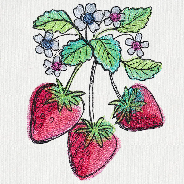 Summer Tastes - Strawberries - Image 3