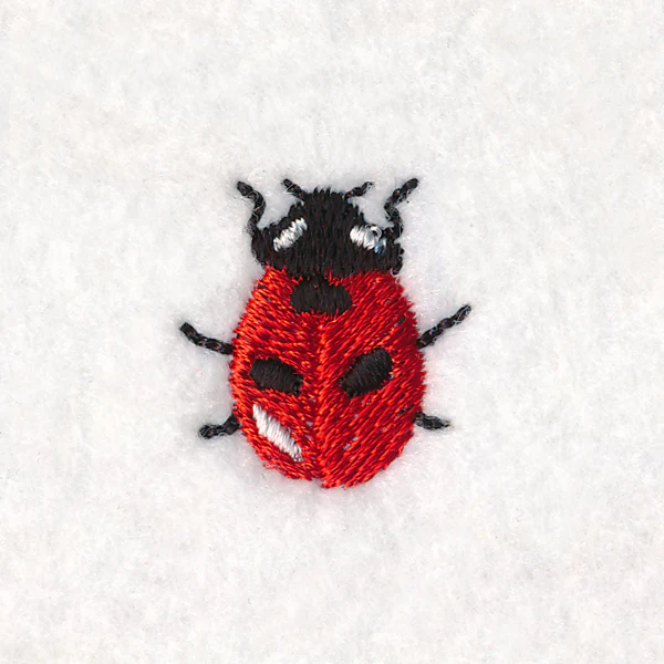 Teensy Ladybug