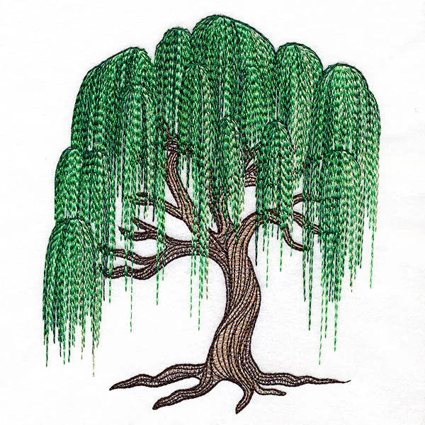 Texture and Wonder Weeping Willow - Image 3