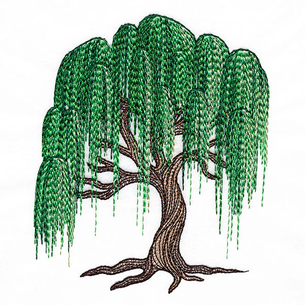 Texture and Wonder Weeping Willow - Image 5