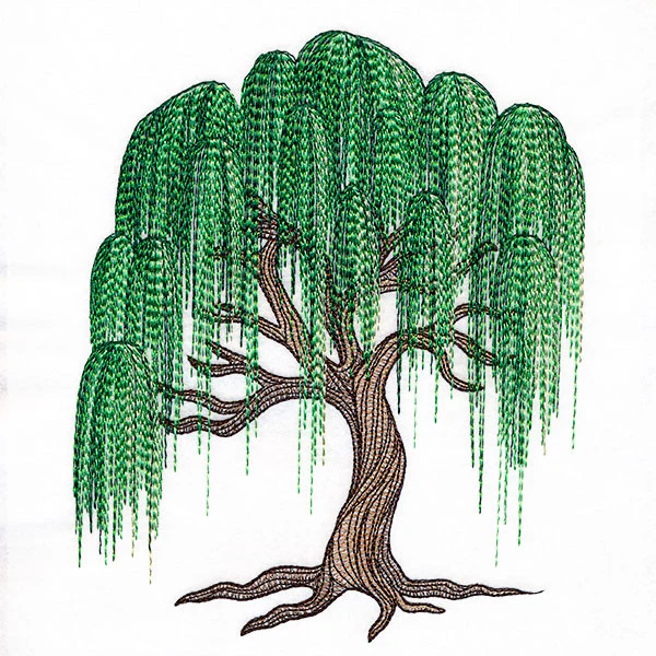 Texture and Wonder Weeping Willow - Image 7