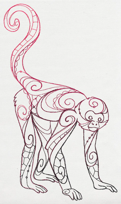 The Delicate Ones - Spider Monkey