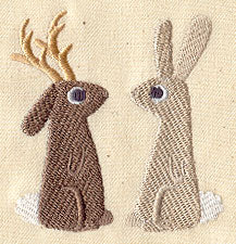 The Jackalope and the Rabbit - Image 2