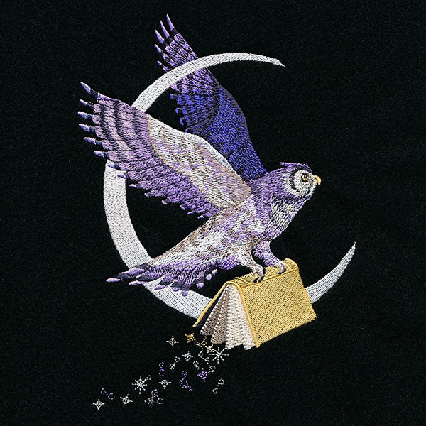 The Magic of Reading Celestial Owl - Image 3