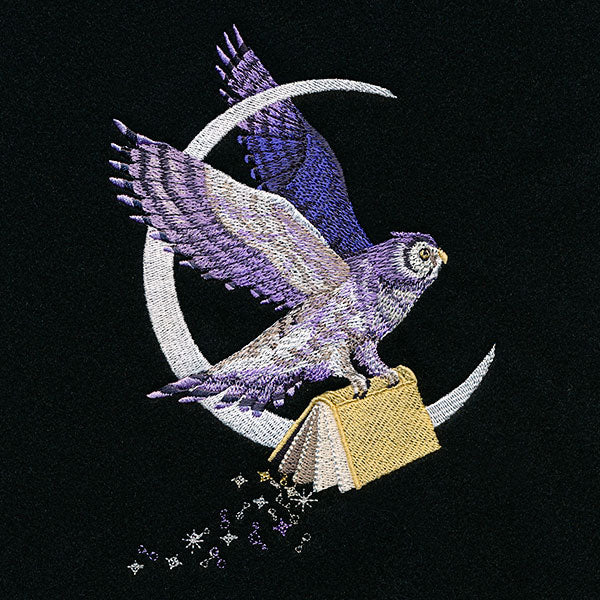 The Magic of Reading Celestial Owl - Image 5