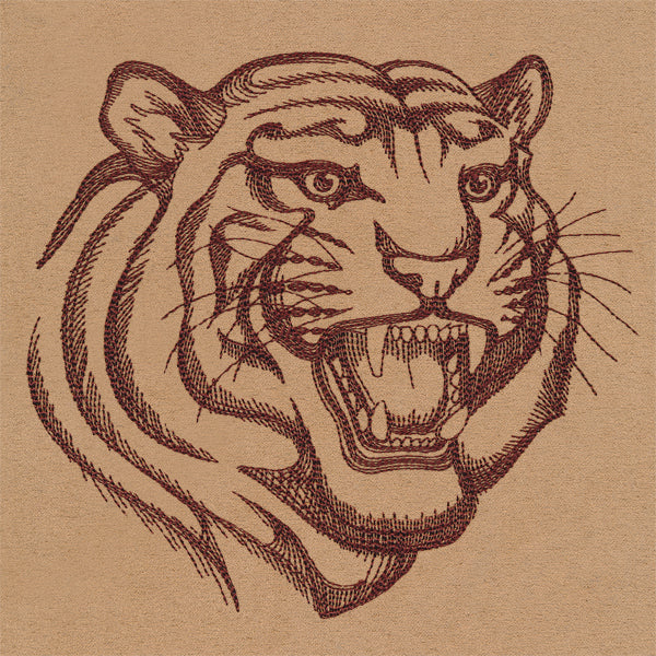 Tiger Talk - Image 3