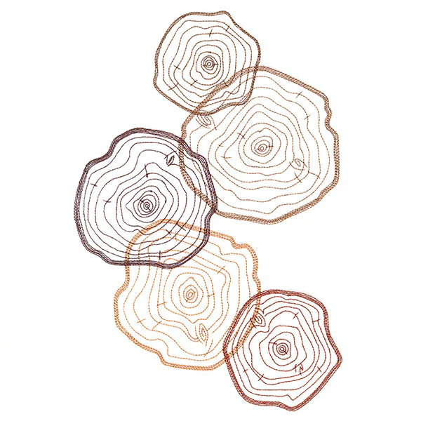 Tree Rings Collage - Image 5