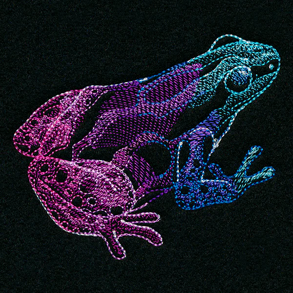 Tropical Dart Frog - Image 7