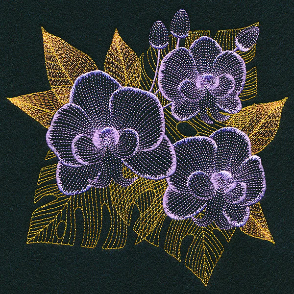 Tropical Dreams Orchid - Image 3