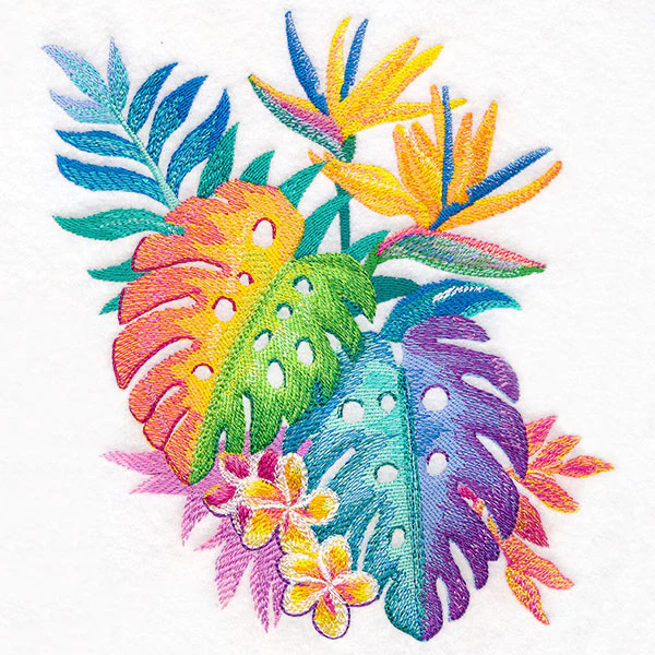 Tropical Rainbow Botanicals - Image 4