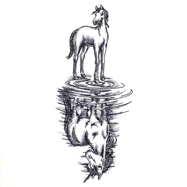 Unicorn Reflection - Image 3