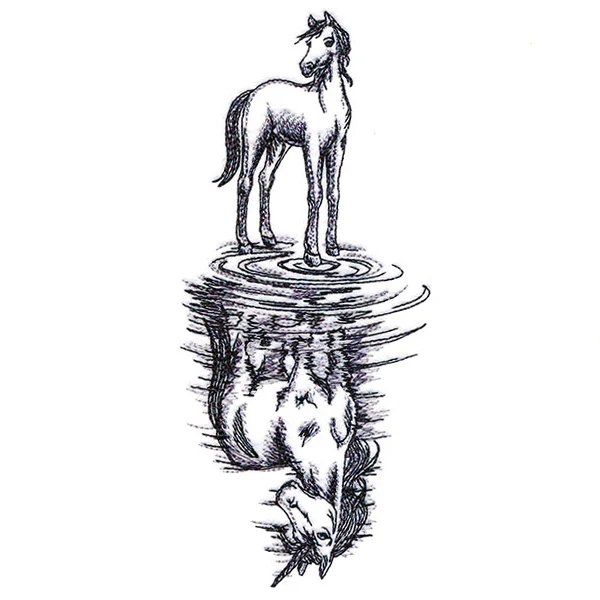 Unicorn Reflection - Image 4