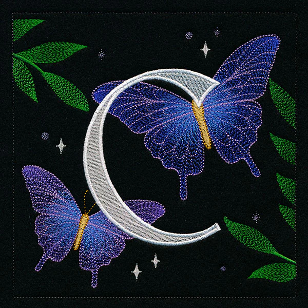 Welcome Celestial Square - C - Image 16