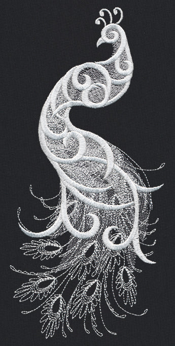 White Peacock - Image 2