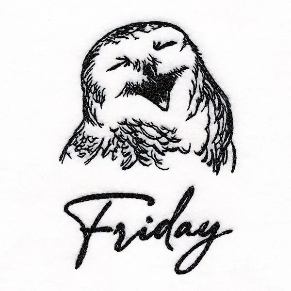 Who Gives a Hoot Owl on Friday - Image 3