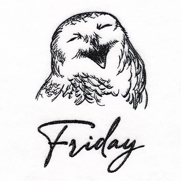 Who Gives a Hoot Owl on Friday - Image 5