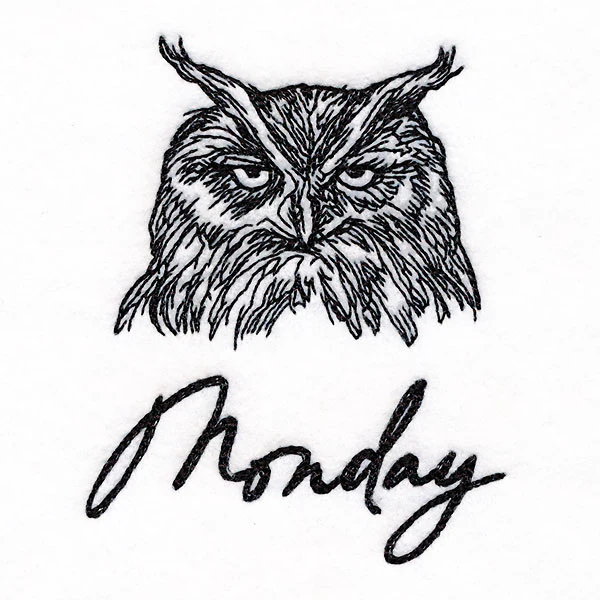 Who Gives a Hoot Owl on Monday - Image 3