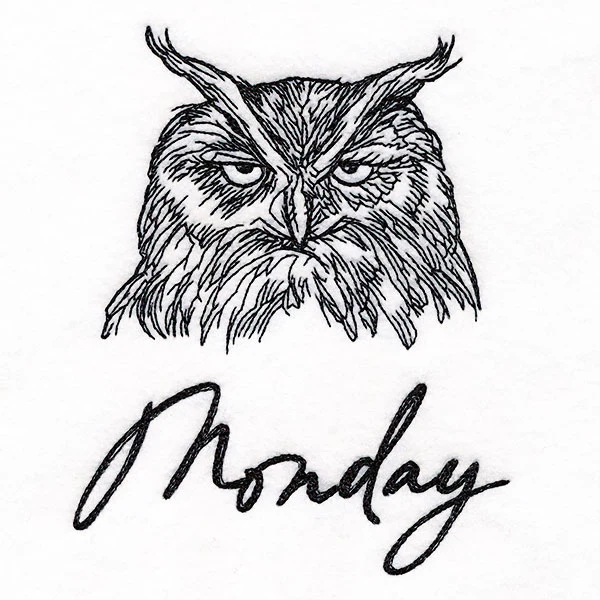 Who Gives a Hoot Owl on Monday - Image 5