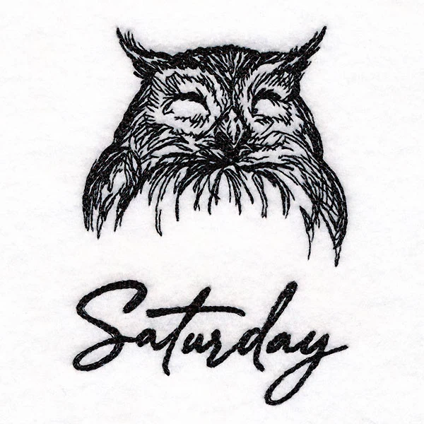 Who Gives a Hoot Owl on Saturday - Image 2