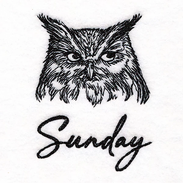 Who Gives a Hoot Owl on Sunday - Image 2