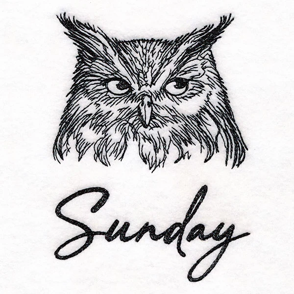 Who Gives a Hoot Owl on Sunday - Image 3
