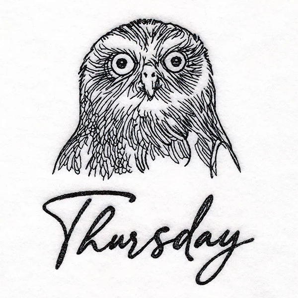 Who Gives a Hoot Owl on Thursday - Image 3