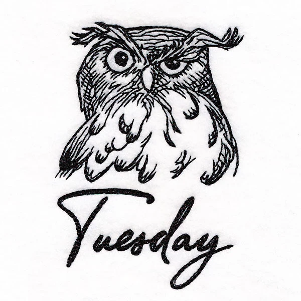 Who Gives a Hoot Owl on Tuesday - Image 2