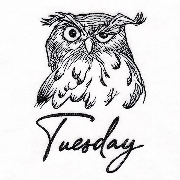 Who Gives a Hoot Owl on Tuesday - Image 3