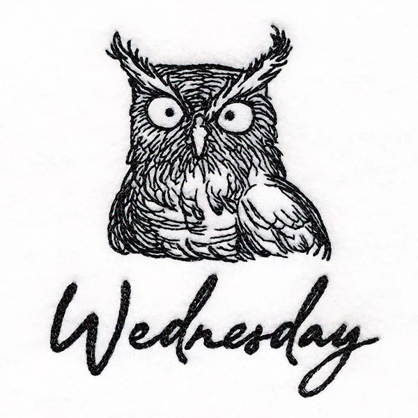 Who Gives a Hoot Owl on Wednesday - Image 2