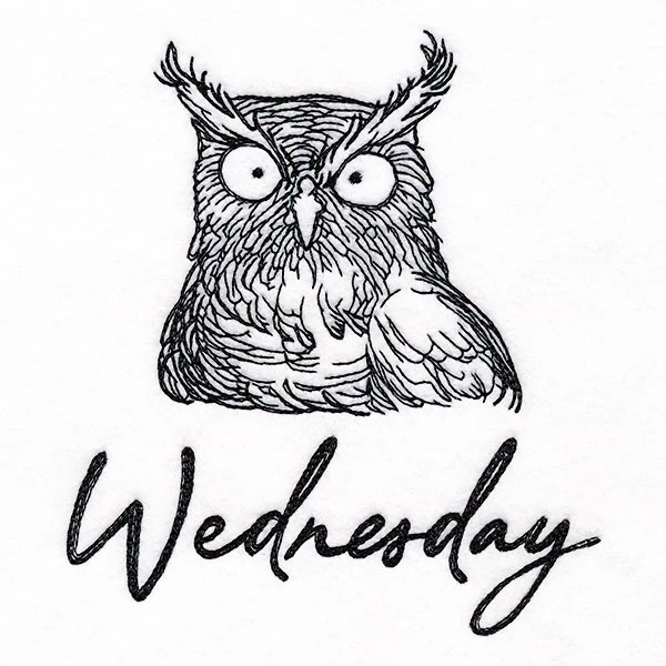 Who Gives a Hoot Owl on Wednesday - Image 3