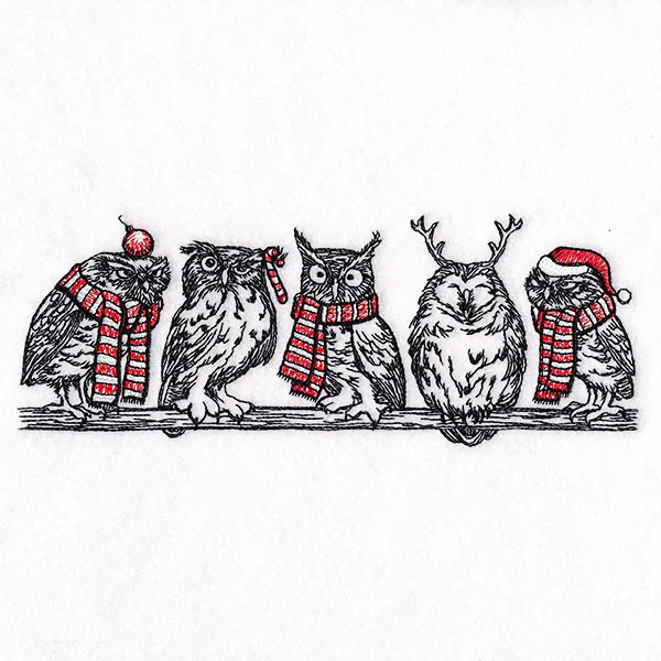 Whoo's Ready for Christmas Owl Border - Image 3