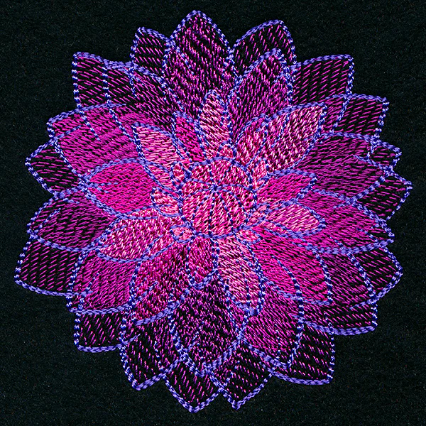 Wild Magic Dahlia - Image 11