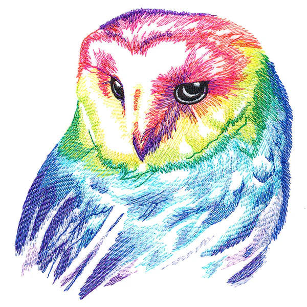 Wild Rainbow Owl - Image 3