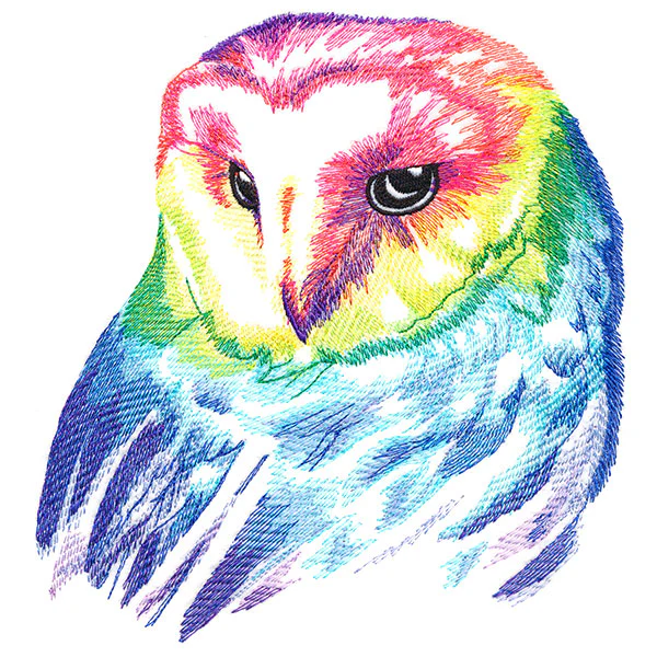 Wild Rainbow Owl - Image 7