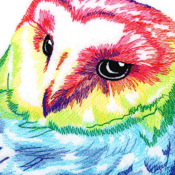 Wild Rainbow Owl - Image 8