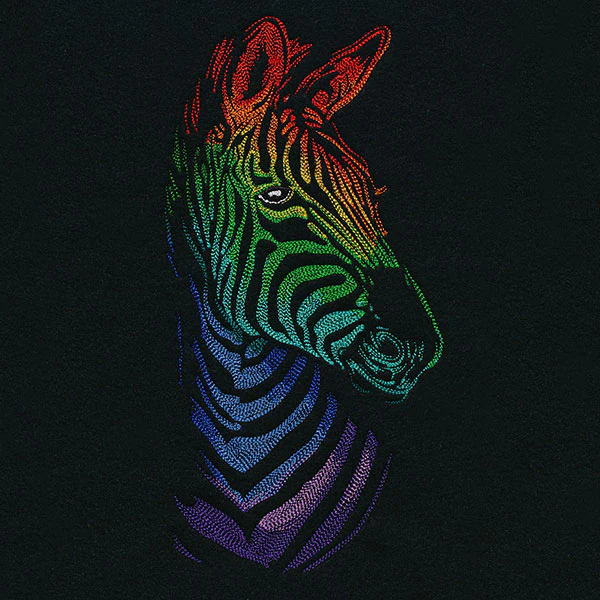 Wild Rainbow Zebra - Image 3
